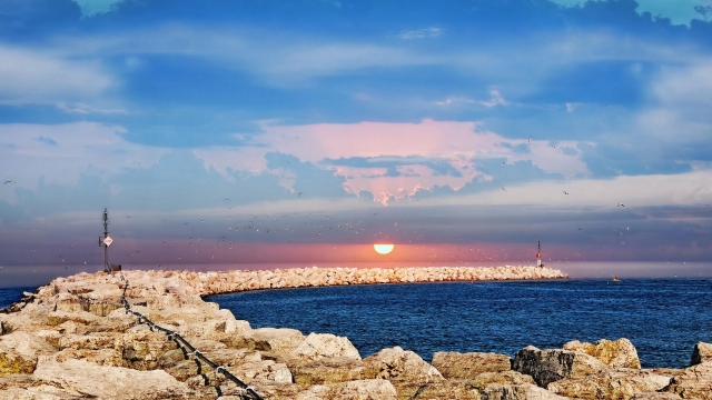 优发：园林绿化造林