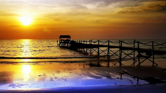 优发：园林绿化植物户外