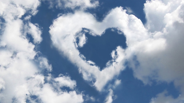 优发国际：园林绿化禅意