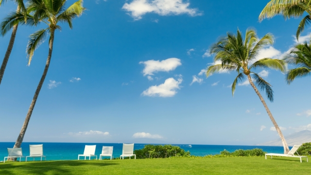 优发国际：园林绿化苗木移植