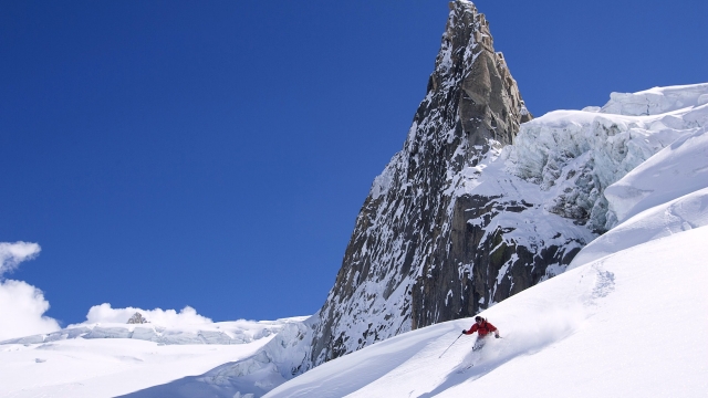 优发集团：园林绿化打树窝