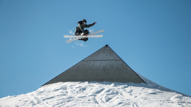 优发：园林绿化苗木六米雪松冠